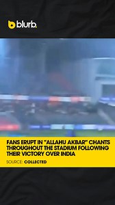 What a sight. What a win! | The Daily Blurb