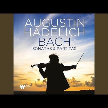 Partita for Solo Violin No. 1 in B Minor, BWV 1002: VI. Double