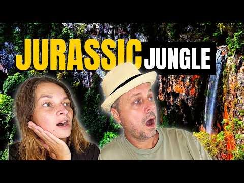 Australia’s Jurassic Jungle Exists… And It’s Stunning!