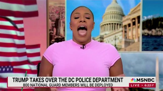 Symone Sanders-Townsend cites her expertise as 'a Black woman' to argue why more cops won't make DC safer