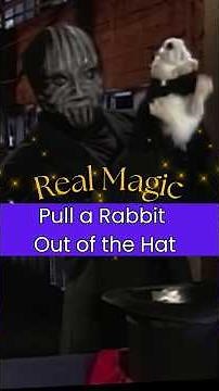 Real Magic - Pull A Rabbit Out Of A Hat