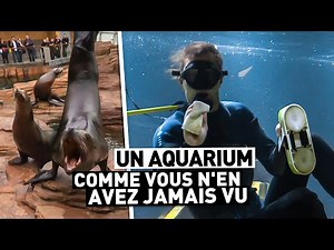 UN AQUARIUM COMME VOUS N'EN AVEZ JAMAIS VU