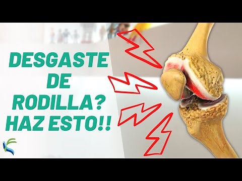 DESGASTE de RODILLA 10 mejores ejercicios para FORTALECER la rodilla | Fisiolution