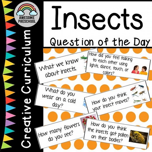 Creative Curriculum - Insects Study - Question of the Day - Etsy