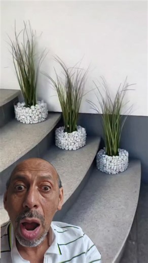 Samuel Lopez | Maceteras elegantes con malla de alambre y piedras blancas 🌿#DecoraciónExterior #MaceterasCreativas #DIYJardinería #PiedrasBlancas... | Instagram