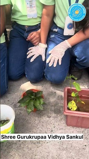 Environmental Science & Sustainability: A Career for a Greener Future