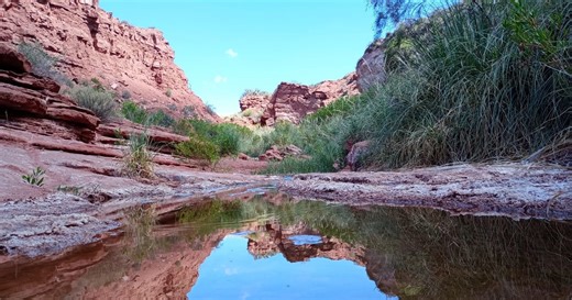 ‘Trekking al Río Salado’: un increíble paseo al oasis que esconde Ischigualasto