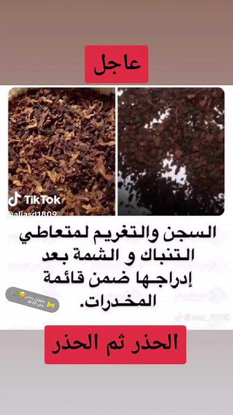 Exploring the World of Tobacco: Leaves to Ground