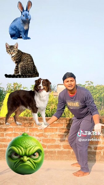 Creative VFX Fun with Engaging Visual Techniques