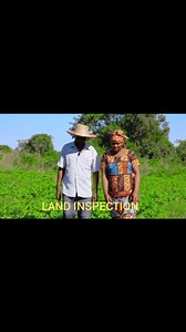 Step-by-Step Guide: Planting Banana Suckers #agriculture #gardening #gardeningtips | Sharon Organic Fruit Seedlings