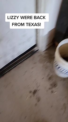 Dustin (@just_dustin2)’s videos with