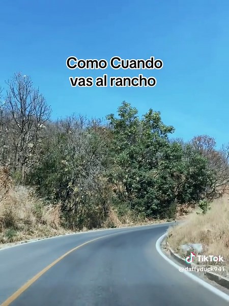 Discover Life on the Ranch: A Day in the Countryside