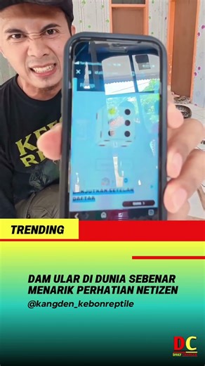 SNAKES AND LADDER REAL LIFE