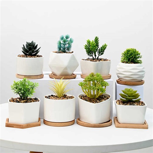 Hot Sale Various Styles White Ceramic Flower Pots Planters Ceramic Plant Succulent Pot with Tray