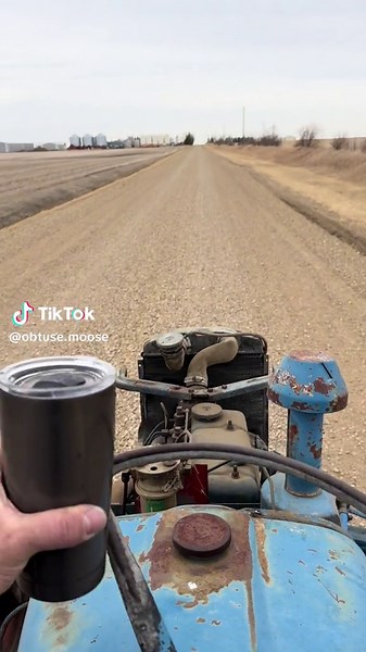 obtuse-moose on TikTok