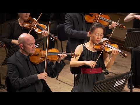 Mozart's Symphony No. 40 (first movement) – performed live by the London Mozart Players