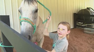 9-year-old Houston barrel racer recovering from terrifying accident