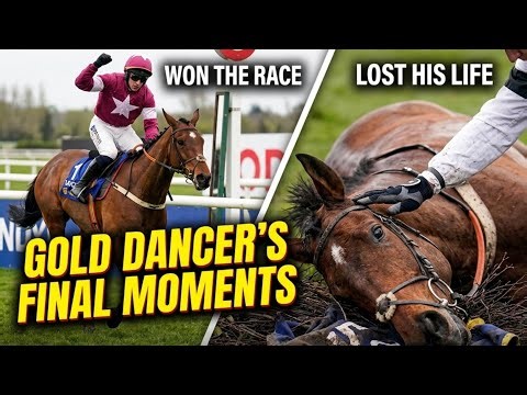 Tragic Victory: Gold Dancer Dies After Winning at Aintree Grand National Festival 2026