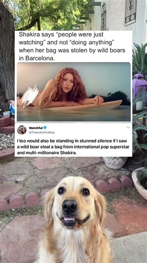 What's the proper way to respond to that?