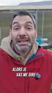 mottes sans presse mottes