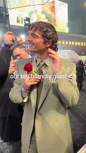 Jacob Elordi at the Wuthering Heights premiere in London with a rose 🎥 @randellaonline #jacobelordi #wutheringheights #london #premiere #tiktokfashion