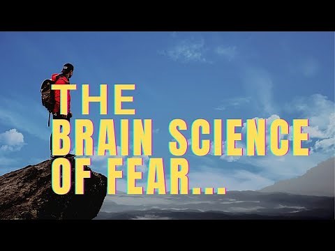 Neuroscience of Fear [Easy Explanation] [2021] Chapter 1: BasicallyBrain