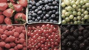 Learn Fraction Ratio Percentages - Starter Course