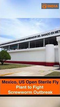 Mexico, US Open Sterile Fly Plant to Fight Screwworm Outbreak