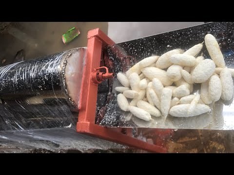 Cassava peeling and washing machine #cassavaprocessing