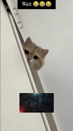 wait for me #roast #shortclips