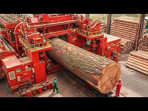 Inside a Mega Sawmill Factory: From Tree Logs to Plywood, Tables & Beds (Full Process)