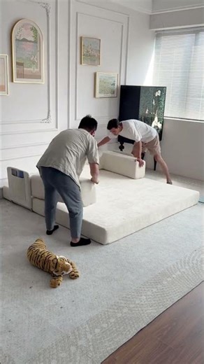 Must-Have! Queen 4-in-1 Futon 🛋️ #sofa #home