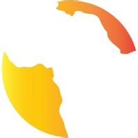 Renaissance Africa Energy Company | LinkedIn