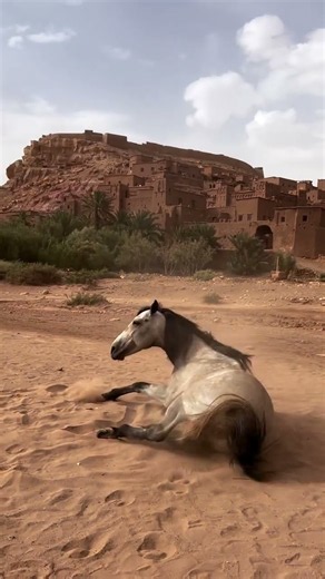 Ait Ben Haddou