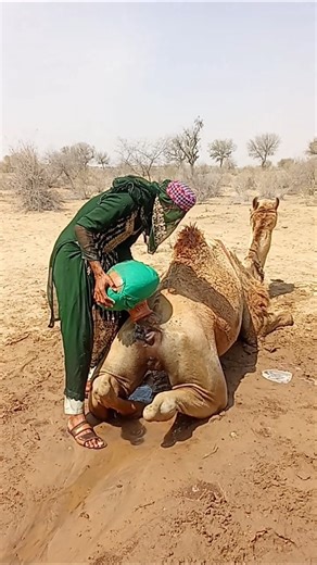فتاة تحاول إخراج جرة ماء عالقة… لكنها ترفض الخروج! 😲💧