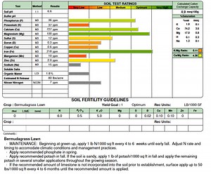 First Waypoint Soil Test