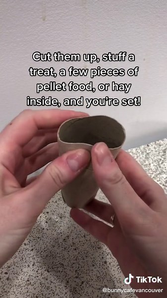 DIY Bunny Toys: The Perfect Boredom Busters