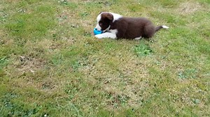 25K views · 2K reactions | Je suis super content, aujourd'hui en...