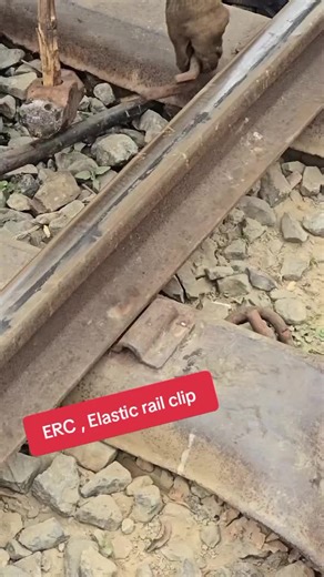 Understanding ERC Elastic Rail Clips in Rail Systems