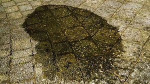 Time Lapse Puddle Drying Sun Stock Footage Video (100% Royalty-free) 1035182024 | Shutterstock