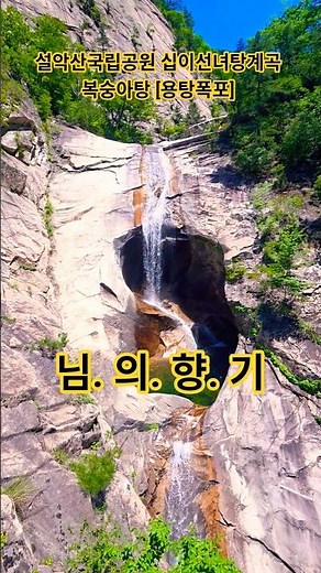 세월이 흘러도 지워지지 않는 (님의) 향기! #shorts #김란영 #님의향기 #감성노래 #7080노래 #50대 #일상기록 #vlog #설악산 #복숭아탕 #용탕폭포 #청전삭악회