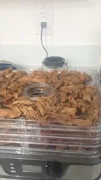 Don’t Waste Leftover Turkey! Make Easy Turkey Jerky Instead 🦃🔥