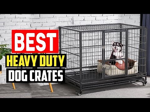 ✅Top 5 Best Heavy Duty Dog Crates in 2025