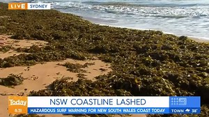 4K views · 44 reactions | The remnants of ex-tropical cyclone Uesi will cause dangerous surf conditions along the NSW coast today. #9News | 9 News Sydney | Facebook