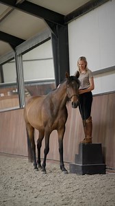 207K views · 4K reactions | Teaching Sara to come towards the...