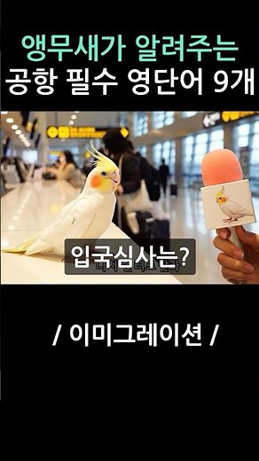 앵무새가 알려주는 공항 필수 영단어 9개 #여행영어회화
