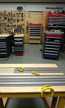 Dewalt Guide Rail Track Saw Clamps