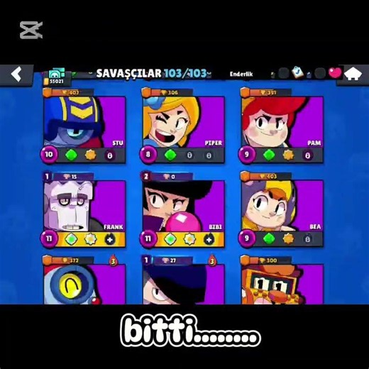 bitti..... #ytdayibenionecikarnolur #brawlstars