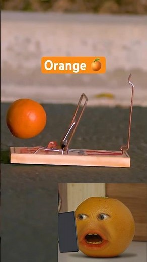Reacting to fruit dropped on a mousetrap!!!! 🍌🍏🍊 ‪@LegendaryShots‬