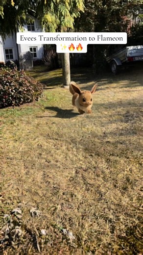 Eevee's Transformation to Flareon Explained